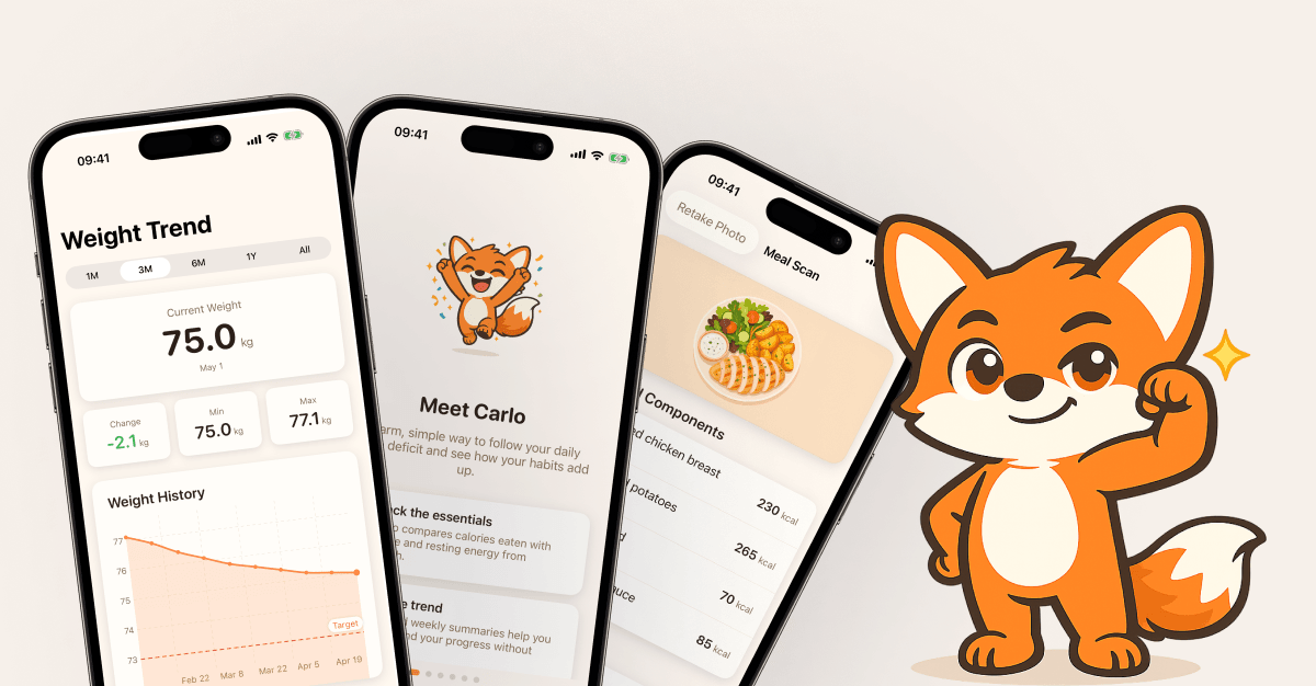 Building an iOS app in just a day
